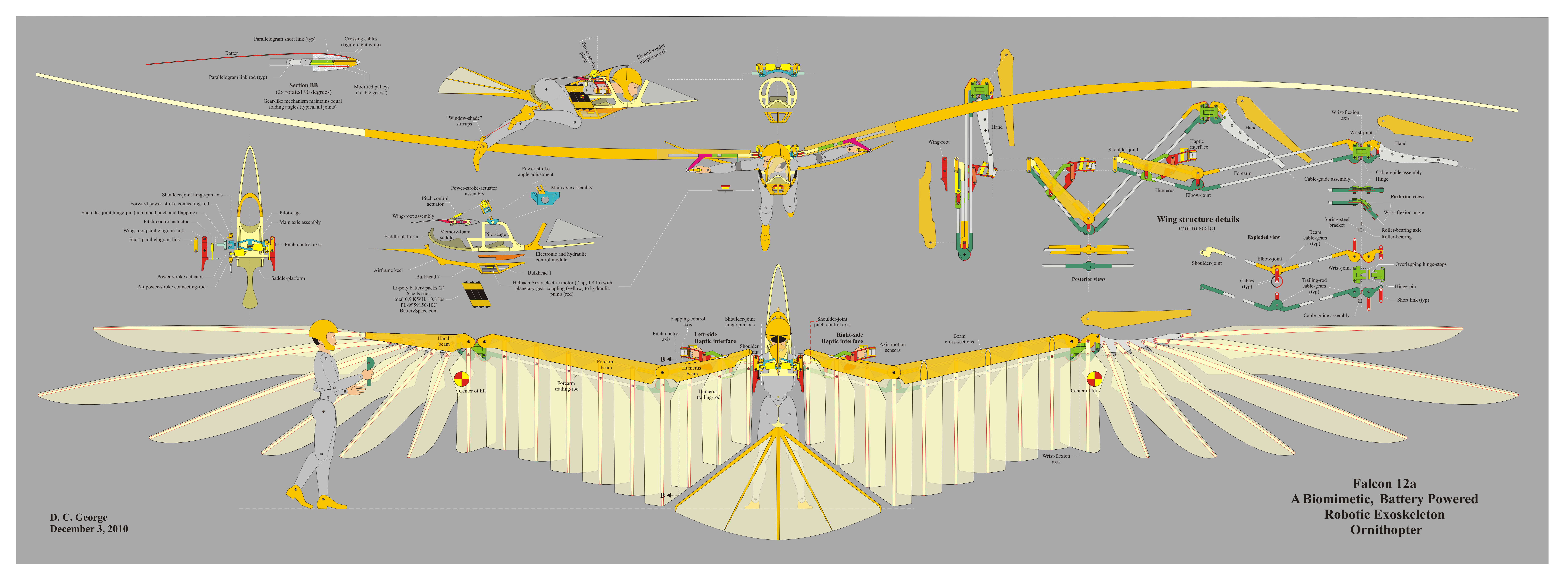 falcon wing anatomy