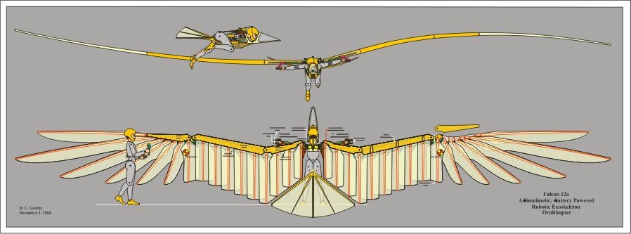 falcon wing anatomy